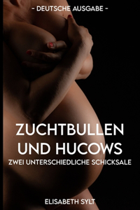 Zuchtbullen und Hucows