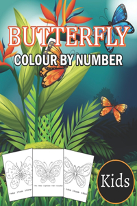 Butterfly Colour By Number Kids