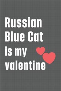 Russian Blue Cat is my valentine