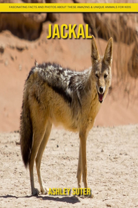 Jackal