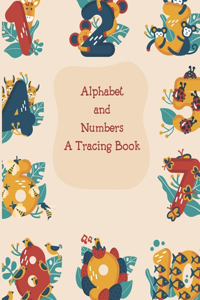 Alphabets And Numbers A Tracing Book