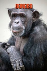 Bonobo