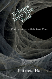 Echoes Into The Void
