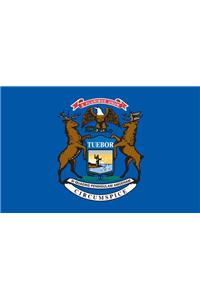 Michigan Flag Magnet