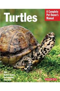 Turtles and Tortoises
