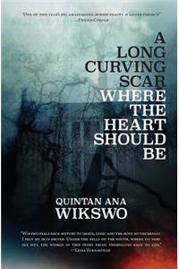 A Long Curving Scar Where The Heart Should Be