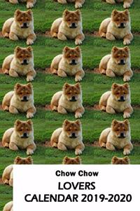 Chow Chow Lovers Calendar 2019-2020