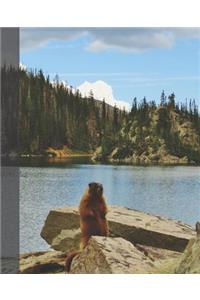 Cute Rocky Mountain Wildlife Photograph Wide-ruled Lined School Composition Notebook