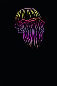 Colorful Jellyfish