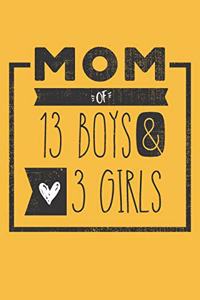 MOM of 13 BOYS & 3 GIRLS: Perfect Notebook / Journal for Mom - 6 x 9 in - 110 blank lined pages