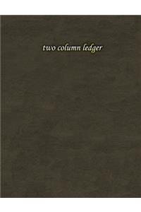 two column ledger