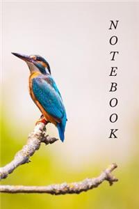 Notebook: Kingfisher Design - (Journal, Diary) - 100 lined pages - 6x8