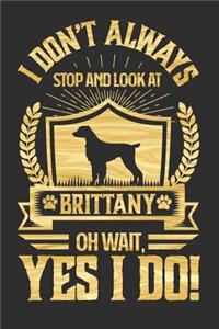 I Don't Always Stop and Look At Brittany OH Wait, Yes I Do!