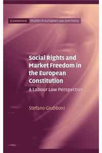 Social Rights and Market Freedom in the European Constitution: A Labour Law Perspective. Cambridge Studies in European Law and Policy.