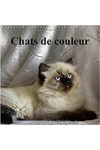 Chats de Couleur 2017