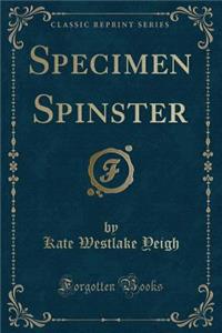 Specimen Spinster (Classic Reprint)