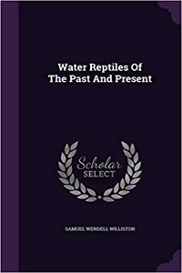 Water Reptiles Of The Past And Present