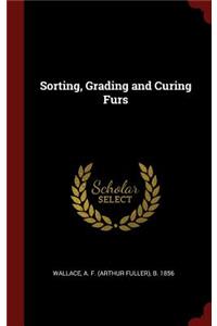 Sorting, Grading and Curing Furs