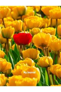 My Journal