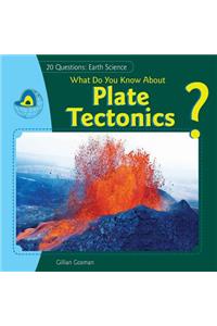 What Do You Know about Plate Tectonics?