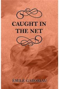 Caught in the Net