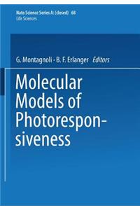 Molecular Models of Photoresponsiveness