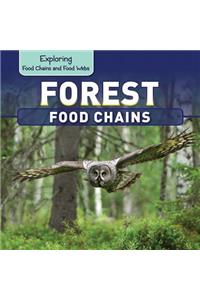 Forest Food Chains