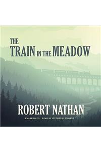 Train in the Meadow