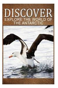 Explore The World Of The Antarctic - Discover