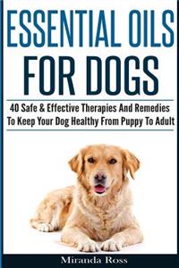 Essential Oils For Dogs
