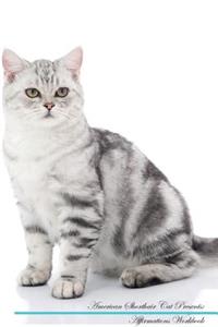 American Shorthair Cat Affirmations Workbook American Shorthair Cat Presents: Positive and Loving Affirmations Workbook. Includes: Mentoring Questions, Guidance, Supporting You.