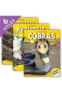 Xtreme Snakes Set