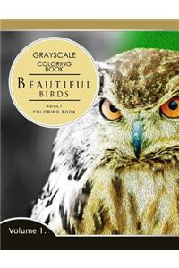 Beautiful Birds Volume 1