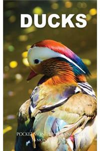 Ducks Pocket Monthly Planner 2017