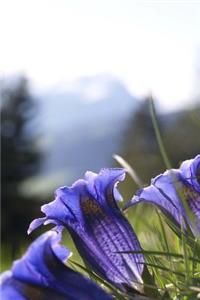 Gentian Blue Alpine Flowers in the Spring Journal