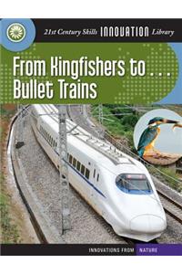 From Kingfishers To... Bullet Trains