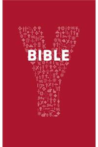 Youcat Bible
