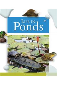 Life in Ponds