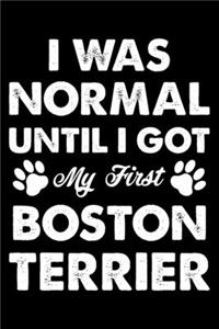 I Was Normal Until I Got My First Boston terrier