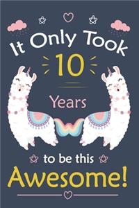 It only Took 10 Years To Be This Awesome!