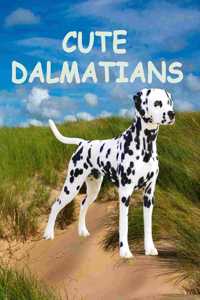 Cute dalmatians