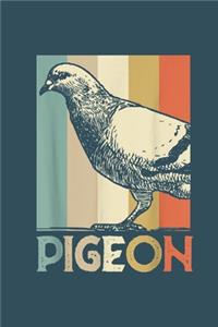 Pigeon
