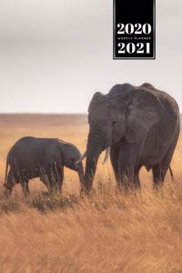 Elephant Mammoth Week Planner Weekly Organizer Calendar 2020 / 2021 - Big and Small