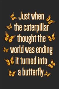 Just When the Caterpillar Thought the World was Ending it Turned into a Butterfly