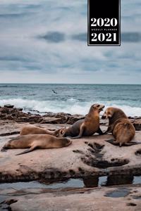 Seal Manatee Sea Lion Cow Walrus Dugong Week Planner Weekly Organizer Calendar 2020 / 2021 - Small Family