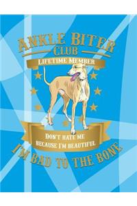 Ankle Biter Club Lifetime Member: Don't Hate Me Because I'm Beautiful, I'm Bad to the Bone - Greyhound