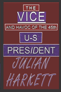 The VICE U-S President