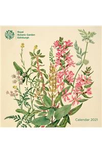 Royal Botanic Gardens, Edinburgh Wall Calendar 2021 (Art Calendar)