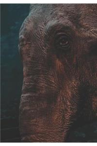 2019 Appointment Calendar: 2019 Daily Planner Goal Planner Elephant Closeup