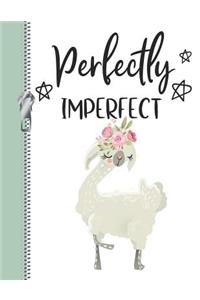 Perfectly Imperfect